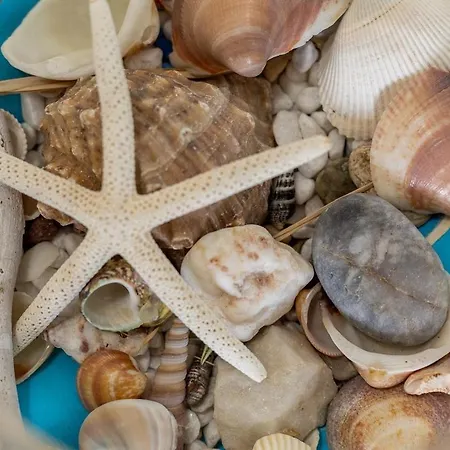 Capo Blu House With Sea View * فورت فيليدج